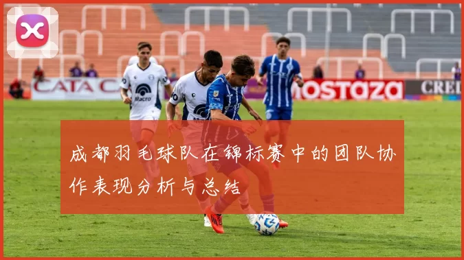 成都羽毛球队在锦标赛中的团队协作表现分析与总结